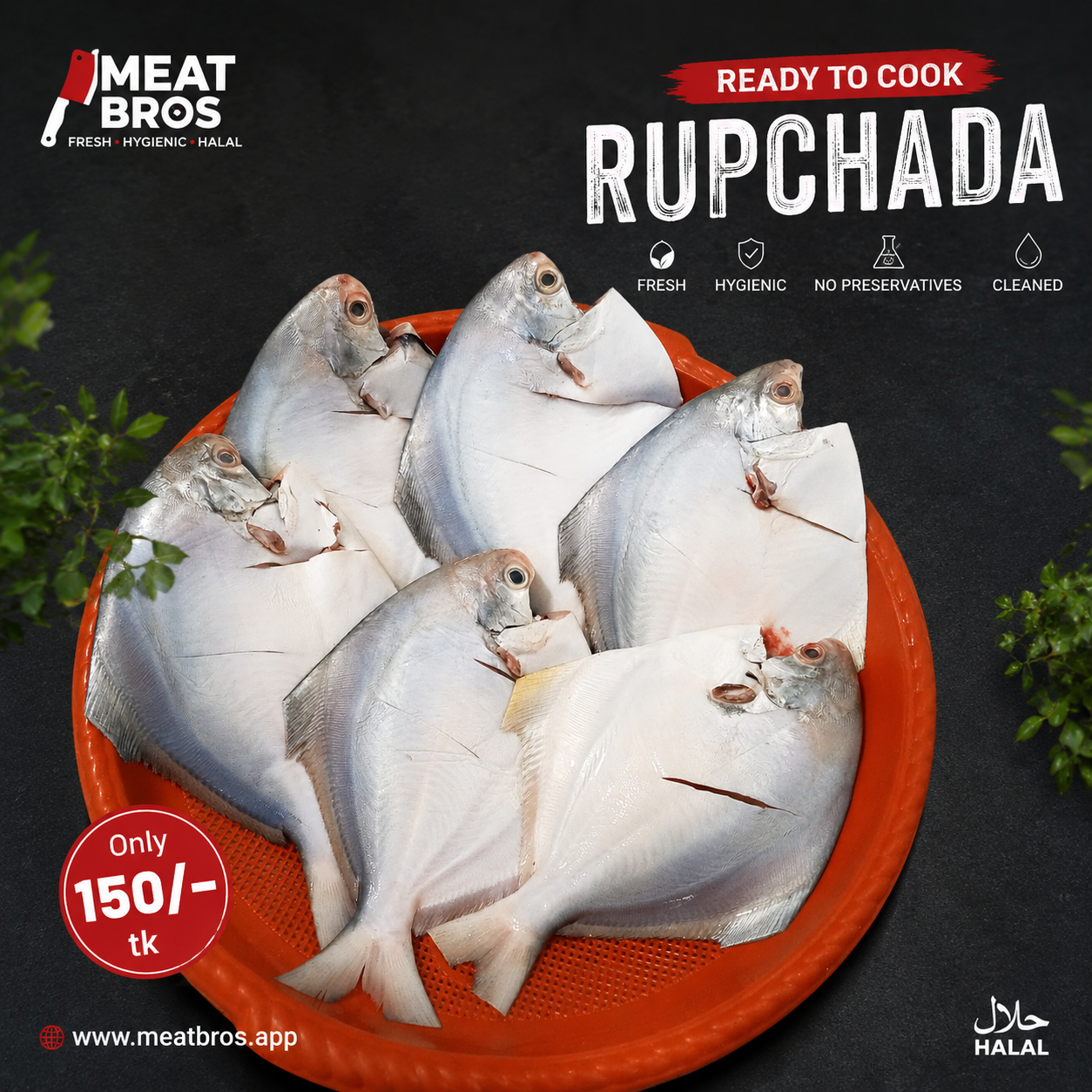Rupchada || রূপচাঁদা Original - View 1