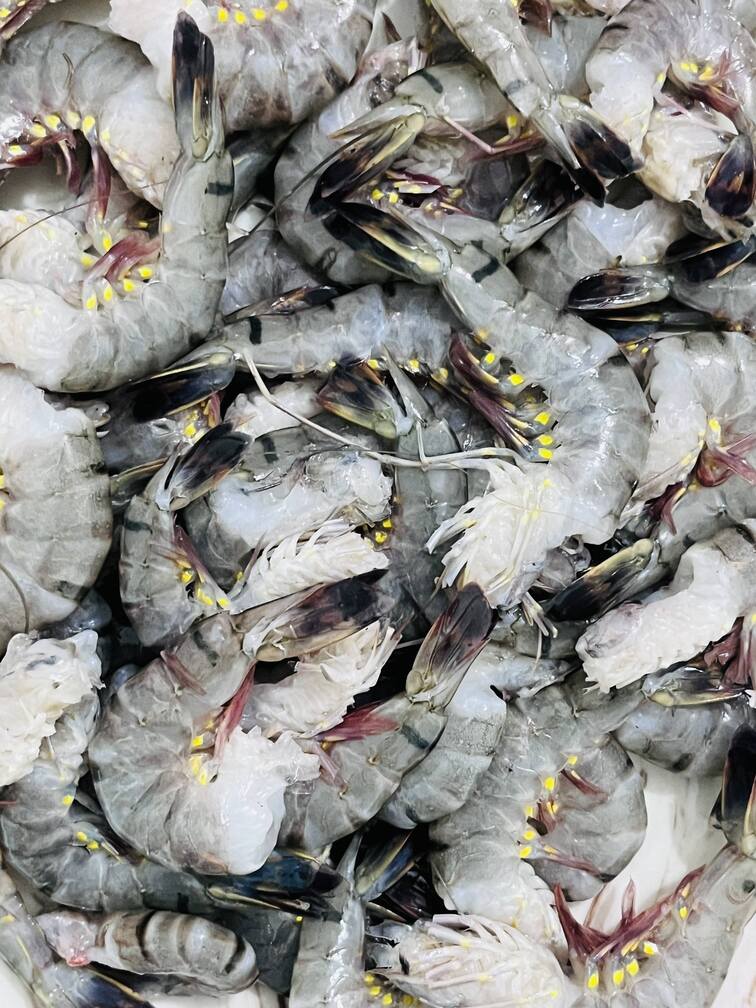 Shrimp - বাগদা চিংড়ি - View 1
